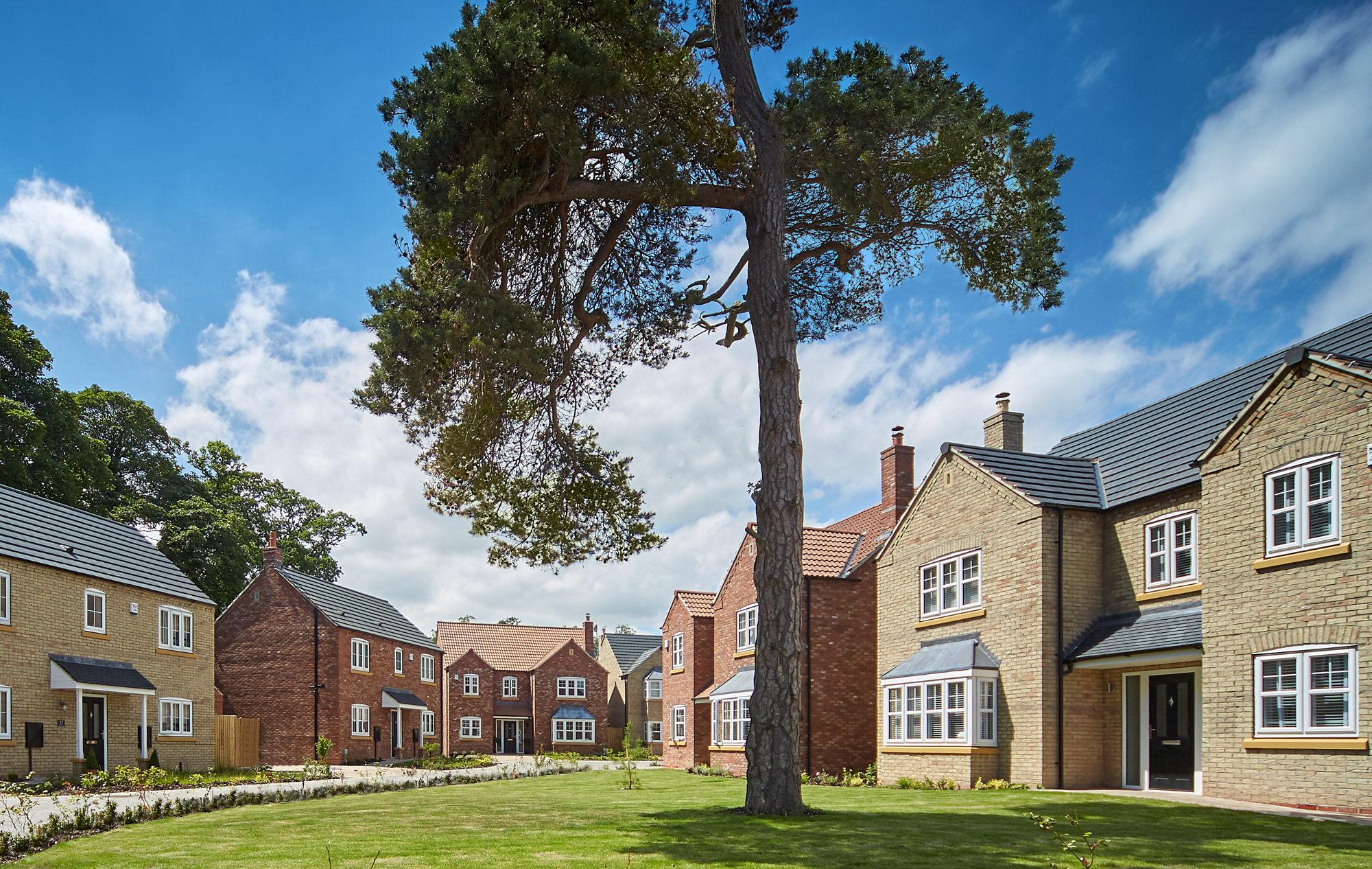 The Paddocks, Hessle