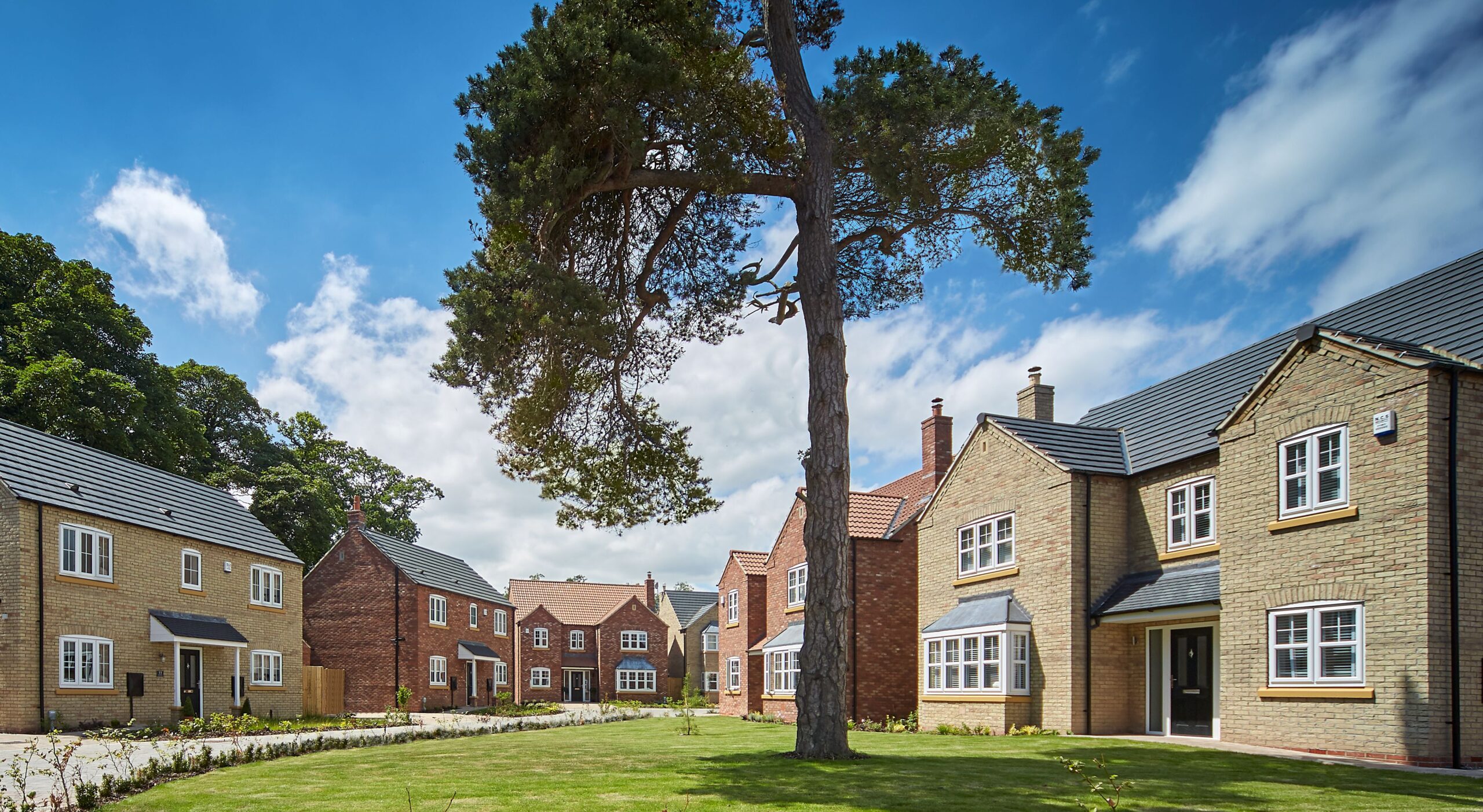 Beal Homes